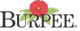 Burpee_Logo.PNG