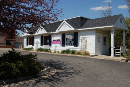 front view of the Dansville library on a sunny summer day