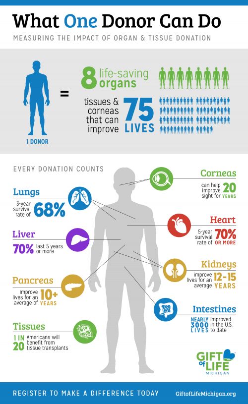 What One Donor Can Do - infographic.jpg