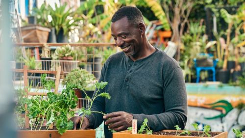 MasterClass Presents Ron Finley Teaches Gardening.jpg