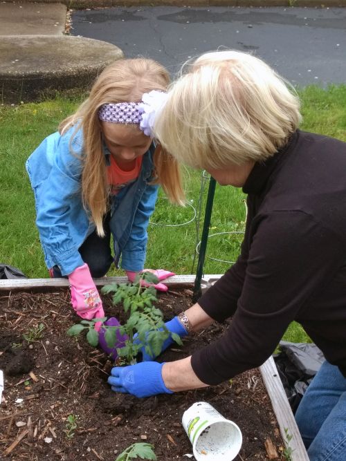 Library Garden May 2018 1.jpg