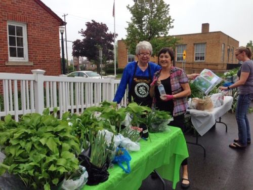 Plant Sale.jpg